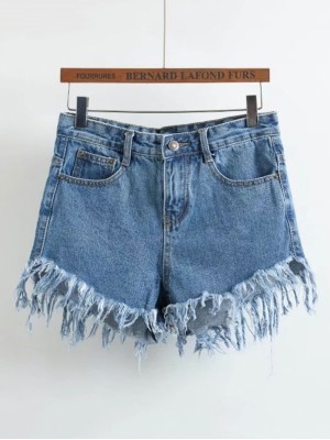 Fray Hem Denim Shorts